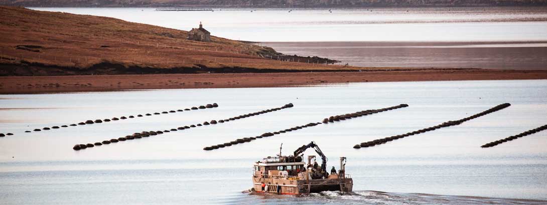 The Shetland Islands: How fisheries are meeting the net-zero target