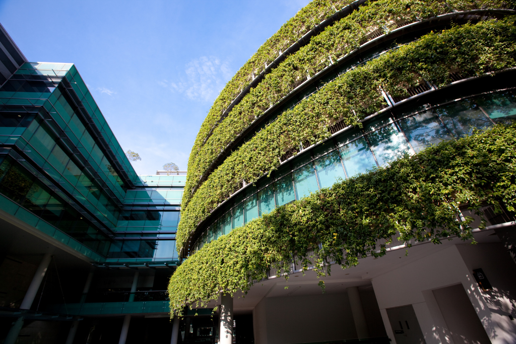 The Benefits of Going Green