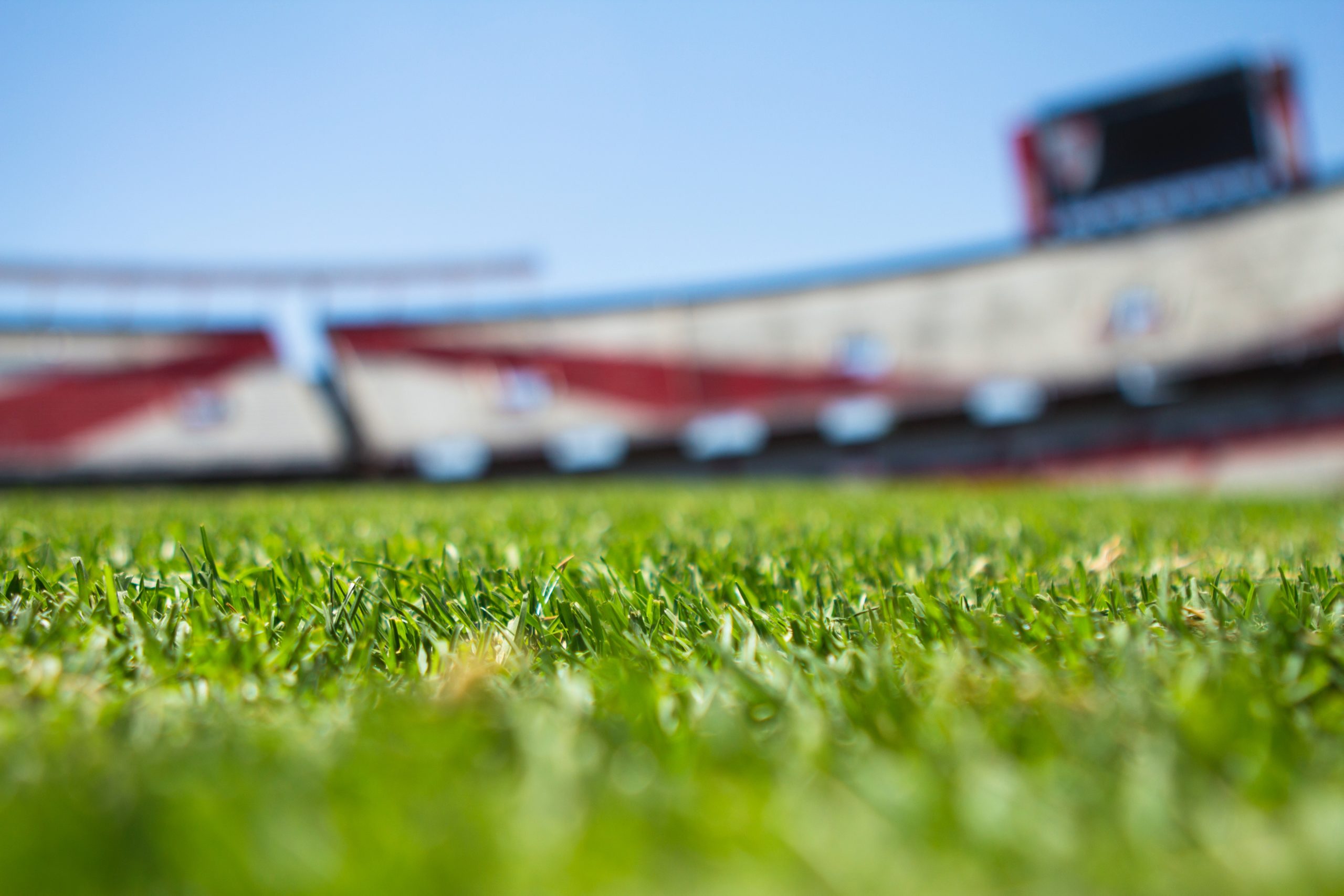 The Race to Government Support for the Sports Industry; Are You In?